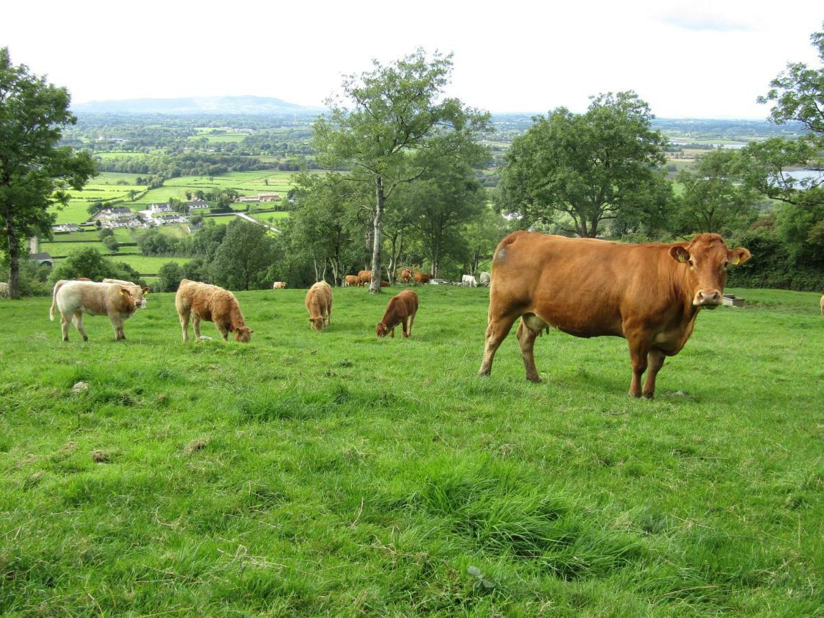 אניסקילן Knockninny Barn At Upper Lough Erne, County Fermanagh מראה חיצוני תמונה